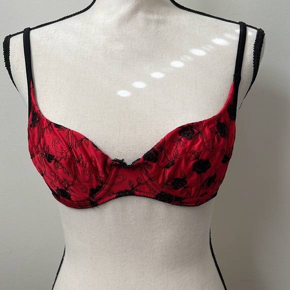 Victoria’s Secret Embroidered Demi Bra - Picture 2 of 16